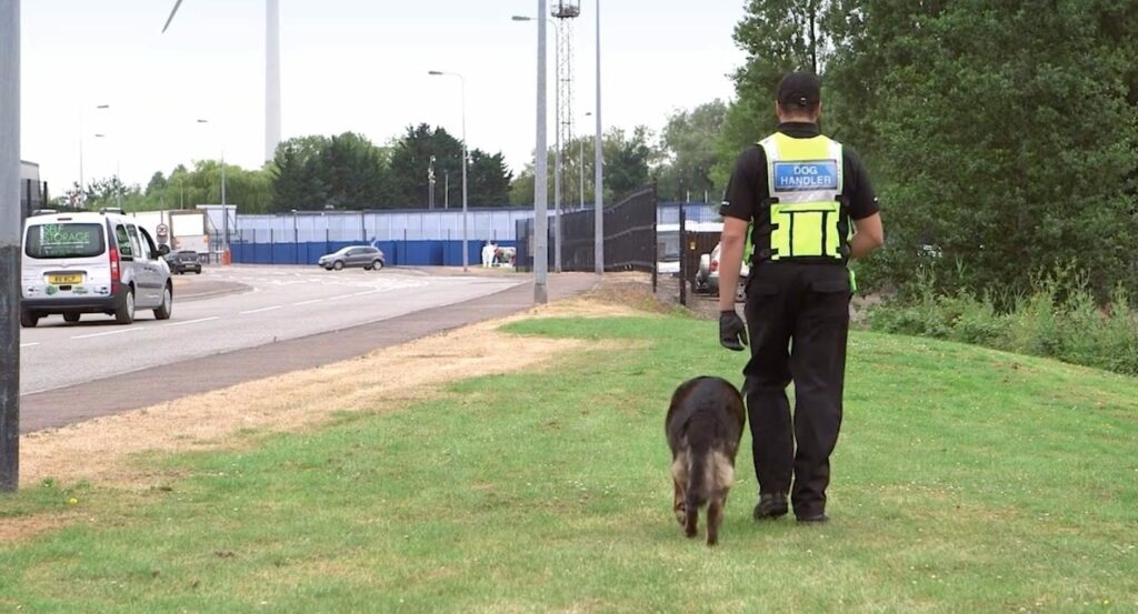blue self storage in cardiff - our security dog patrols