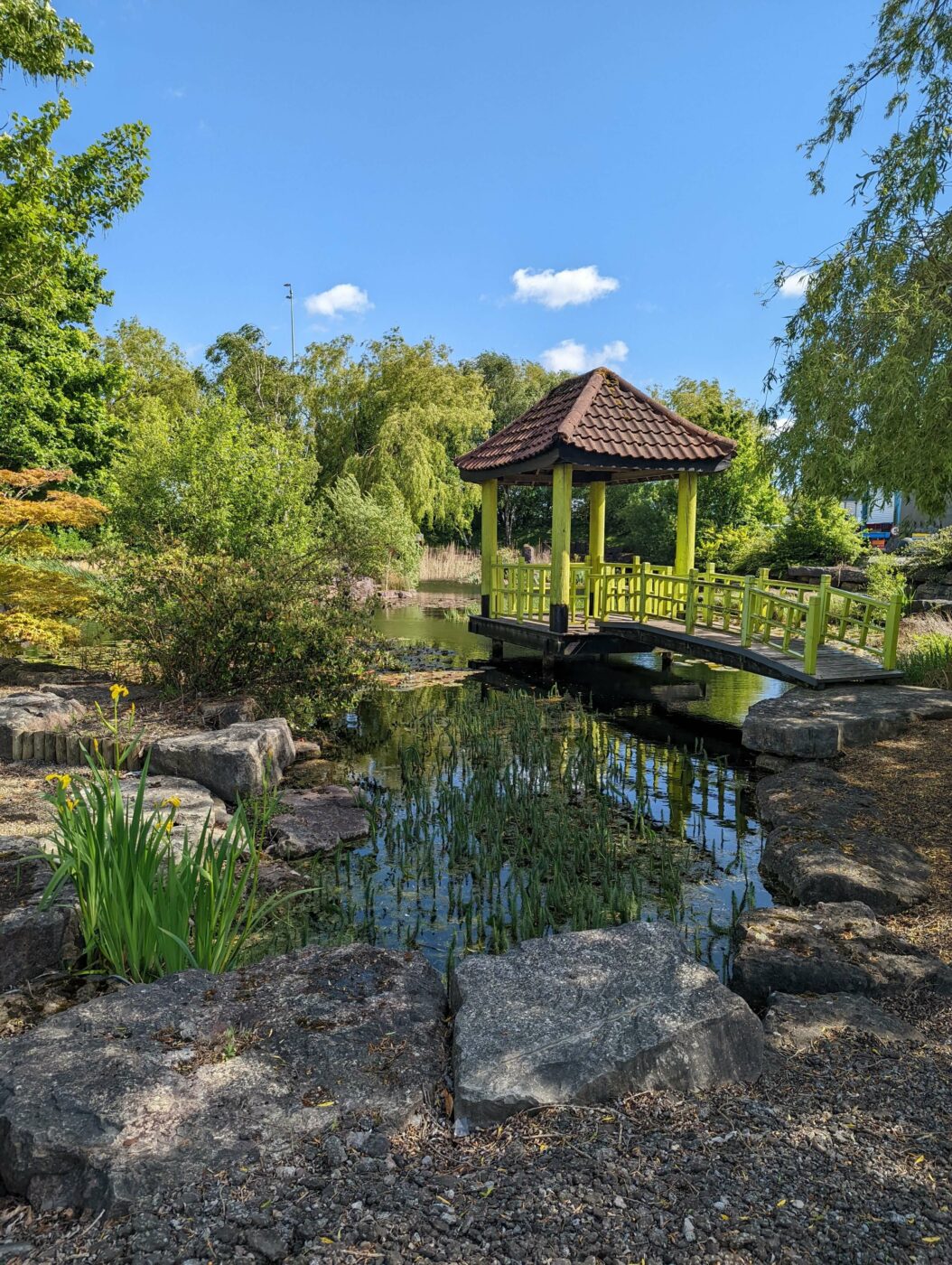 Japanese pond